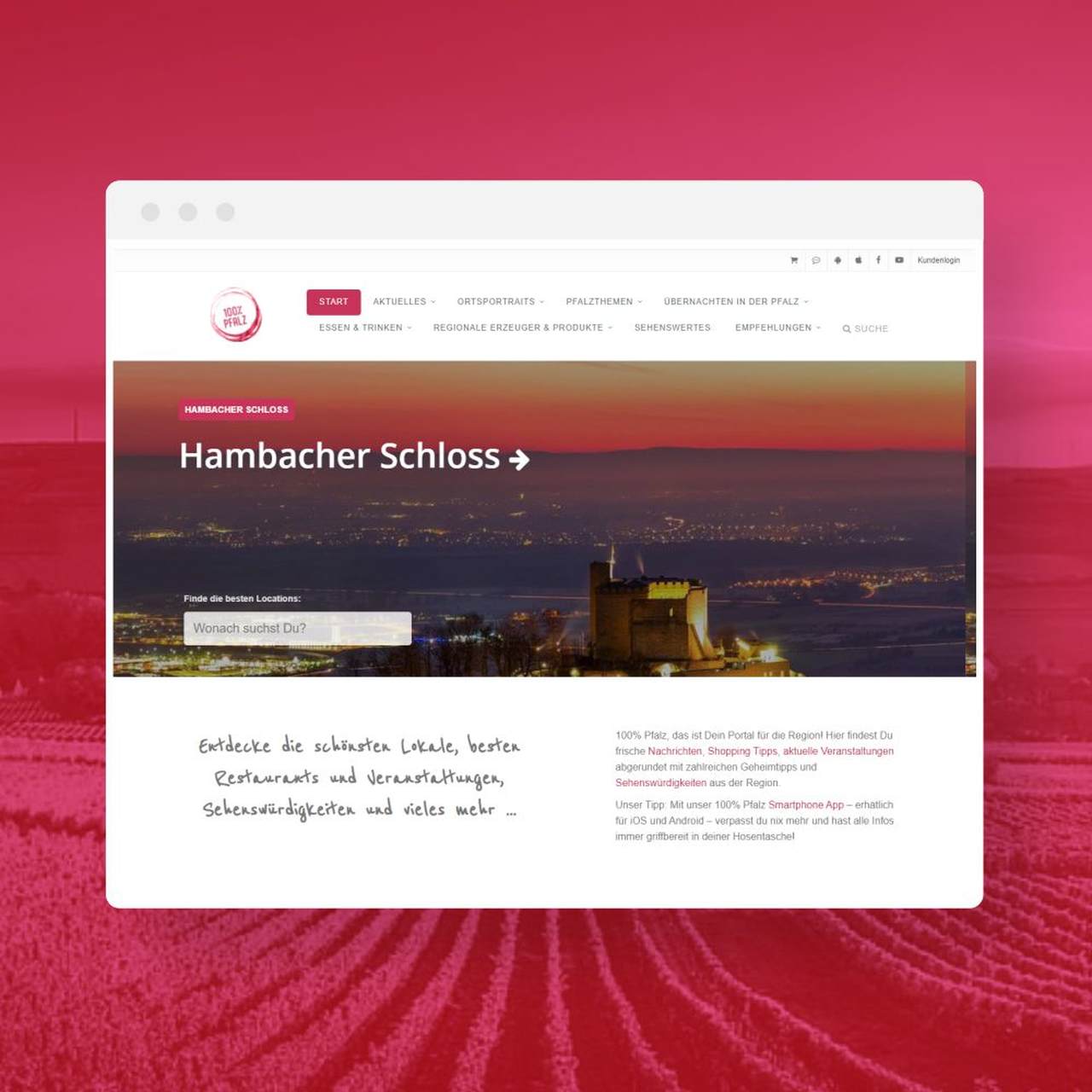 Referenz von Webdesign Landau - 100% Pfalz